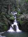 Cataract Creek I